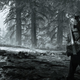 Days Gone